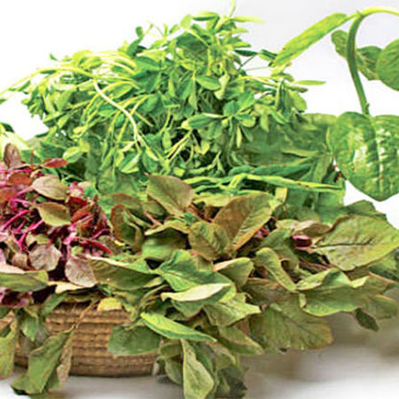Picture for category শাক-পাতা/Leafy veg
