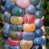 Picture of CNR007. (Rongdhonu) Color Corn / রংধনু ভুট্টা