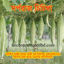 Picture of SBS404. Sworporaj Snake Gourd / সর্পরাজ চিচিঙ্গা
