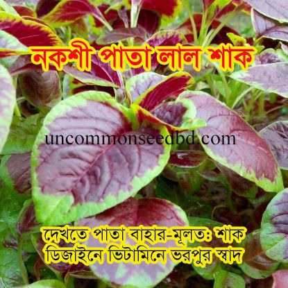 Picture of LAD300. নকশী পাতা লাল শাক #কুরিয়ার ফ্রি[Min Order 4(This Item Or Any)] ১০০/=অগ্রীম