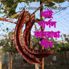 Picture of BNW101. Thai Purple Wing Bean / থাই পার্পল কামরাঙা সীম