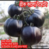 Picture of ATB002. Greek(Kalo) Black Tomato / গ্রীক কালো টমেটো