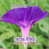 Picture of FMG707. Bhorer Neelima Morning Glory / ভোরের নীলিমা