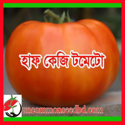 Picture of ATM500. হাফ কেজি টমেটো #কুরিয়ার ফ্রি[Min Order 4(This Item Or Any)] ১০০/=অগ্রীম