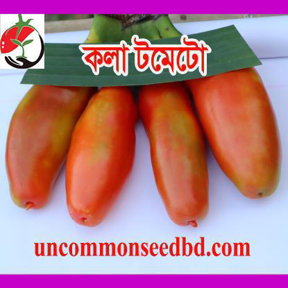 Picture of ATM004. কলা টমেটো #কুরিয়ার ফ্রি[Min Order 4(This Item Or Any)] ১০০/=অগ্রীম
