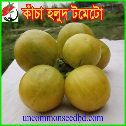 Picture of ATD077. কাঁচা হলুদ টমেটো #কুরিয়ার ফ্রি[Min Order 4(This Item Or Any)] ১০০/=অগ্রীম