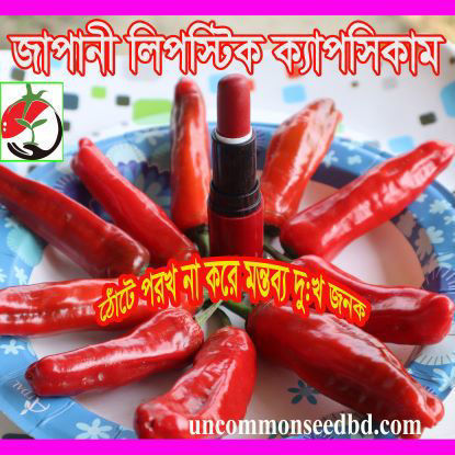 Picture of PPS801. জাপানী লিপস্টিক ক্যাপসিকাম #কুরিয়ার ফ্রি[Min Order 4(This Item Or Any)] ১০০/=অগ্রীম