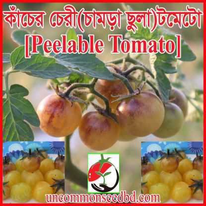 Picture of ATS520. কাঁচের চেরী টমেটো #কুরিয়ার ফ্রি[Min Order 4(This Item Or Any)] ১০০/=অগ্রীম