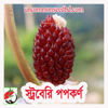 Picture of CNP900. স্ট্রবেরি পপকর্ণ #কুরিয়ার ফ্রি[Min Order 4(This Item Or Any)] ১০০/=অগ্রীম