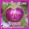 Picture of EP001. (Bindu) So small Brinjal / বিন্দু বেগুন