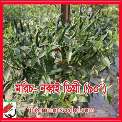Picture of PPH090. মরিচ-নব্বই ডিগ্রী #কুরিয়ার ফ্রি[Min Order 4(This Item Or Any)] ১০০/=অগ্রীম