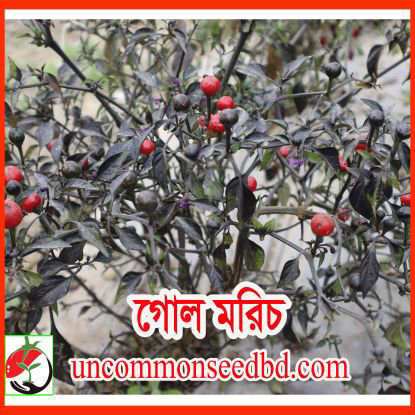 Picture of PPH099. গোল মরিচ #কুরিয়ার ফ্রি[Min Order 4(This Item Or Any)] ১০০/=অগ্রীম