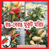 Picture of PPH406. Rong Berong Mukut Chilli / রঙ-বেরঙ মুকুট মরিচ