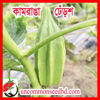 Picture of OKK555. কামরাঙা ঢেঁড়শ (30)/Kamranga Okra
