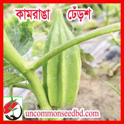 Picture of OKK555. কামরাঙা ঢেঁড়শ #কুরিয়ার ফ্রি[Min Order 4(This Item Or Any)] ১০০/=অগ্রীম