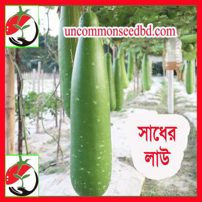 Picture of BGL701. সাধের লাউ #কুরিয়ার ফ্রি[Min Order 4(This Item Or Any)] ১০০/=অগ্রীম