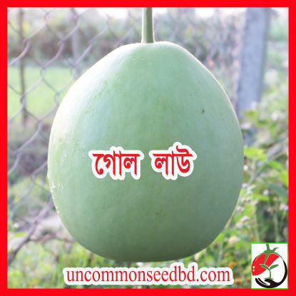 Picture of BGR700. গোল লাউ #কুরিয়ার ফ্রি[Min Order 4(This Item Or Any)] ১০০/=অগ্রীম