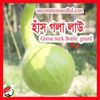 Picture of BGG709. হাঁস গলা লাউ #কুরিয়ার ফ্রি[Min Order 4(This Item Or Any)] ১০০/=অগ্রীম