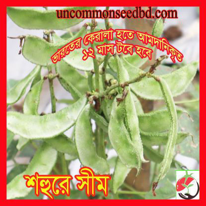 Picture of BNS011. শহুরে সীম #কুরিয়ার ফ্রি[Min Order 4(This Item Or Any)] ১০০/=অগ্রীম