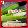 Picture of CNS005. মুড়ি দানা মিষ্টি ভুট্টা #কুরিয়ার ফ্রি[Min Order 4(This Item Or Any)] ১০০/=অগ্রীম