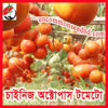 Picture of ATM008. Chinese Octopus Tomato / চাইনিজ  অক্টোপাস টমেটো