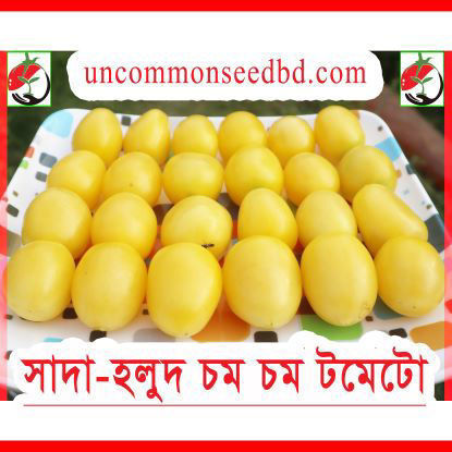 Picture of ATW211. সাদা-হলুদ চম চম টমেটো #কুরিয়ার ফ্রি[Min Order 4(This Item Or Any)] ১০০/=অগ্রীম