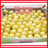 Picture of ATW700. Mini Rosogolla Cherry Tomato / মিনি রসগোল্লা চেরী টমেটো