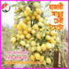 Picture of ATY999. হাজারী আঙ্গুর চেরী টমেটো #কুরিয়ার ফ্রি[Min Order 4(This Item Or Any)] ১০০/=অগ্রীম