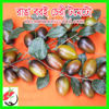 Picture of ATS501. রাঙা বরই চেরী টমেটো #কুরিয়ার ফ্রি[Min Order 4(This Item Or Any)] ১০০/=অগ্রীম