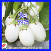 Picture of EWE100. (Dim) Egg Brinjal / ডিম বেগুন