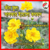 Picture of FCM380. সালফার ইয়েলো কসমস #কুরিয়ার ফ্রি[Min Order 4(This Item Or Any)] ১০০/=অগ্রীম
