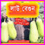 Picture of EG512. Brinjal like Bottle Gourd/লাউ বেগুন