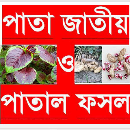 Picture for category Leafy & Under ground Crops/পাতা জাতীয় ও পাতাল ফসল