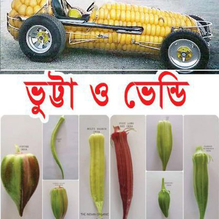 Picture for category Corn & Okra/ভুট্টা ও ভেন্ডি
