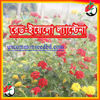 Picture of FLT012. রেড-ইয়েলো ল্যান্টেনা ফুল / Red-Yellow Lantana Flower