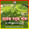 Picture of LAG306. Swtej Green Amaranth / সতেজ সবুজ শাক